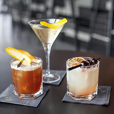 曼海姆丽笙酒店 酒店