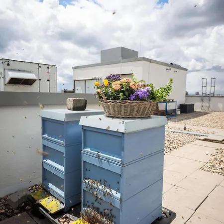 酒店 曼海姆丽笙酒店 4*