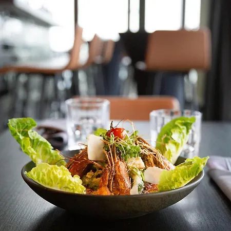 曼海姆丽笙酒店 酒店 4*