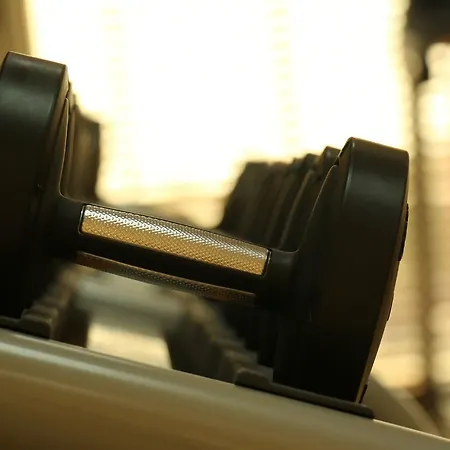 曼海姆丽笙酒店 4* 曼海姆