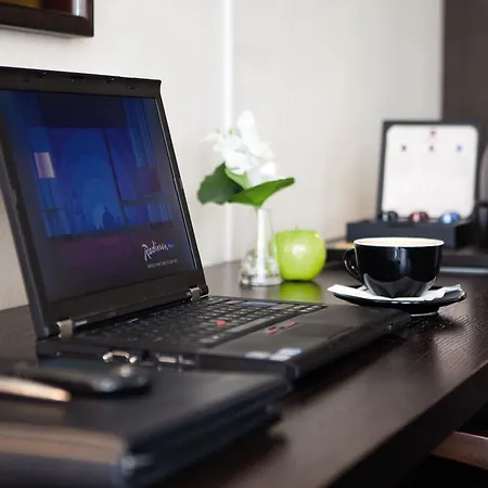 曼海姆丽笙酒店 4*