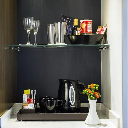 酒店 曼海姆丽笙酒店 4*